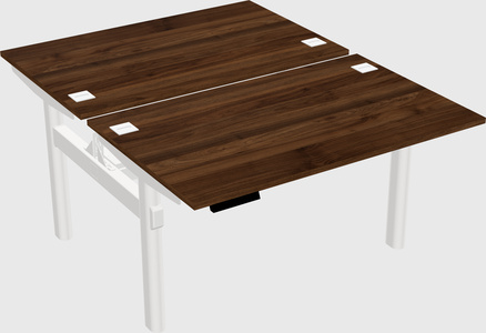 Shared electric desk