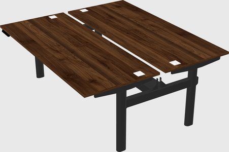 Shared electric desk