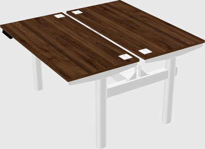 Shared electric desk