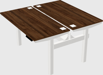 Shared electric desk