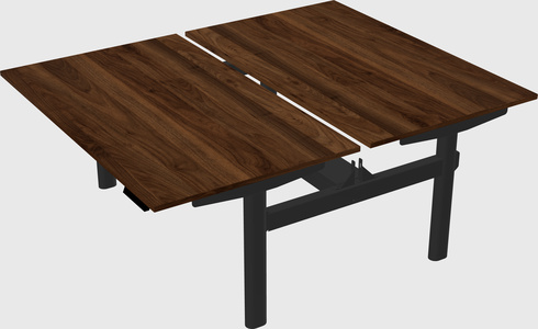 Shared electric desk