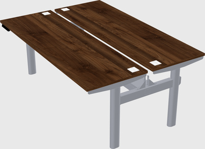 Shared electric desk