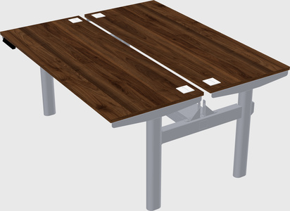 Shared electric desk