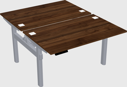 Shared electric desk