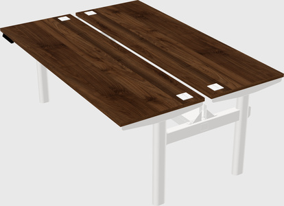 Shared electric desk