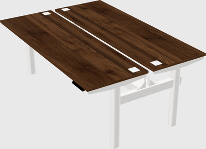 Shared electric desk