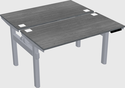 Shared electric desk