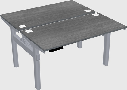 Shared electric desk