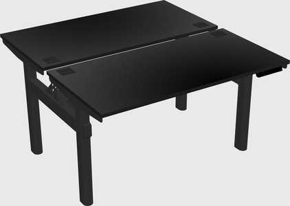 Shared electric desk