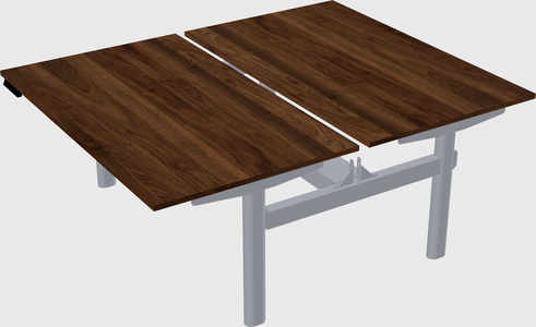 Shared electric desk