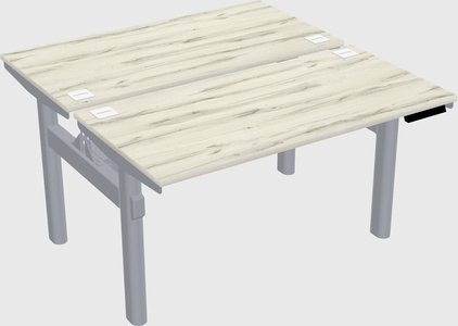 Shared electric desk