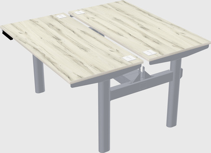 Shared electric desk
