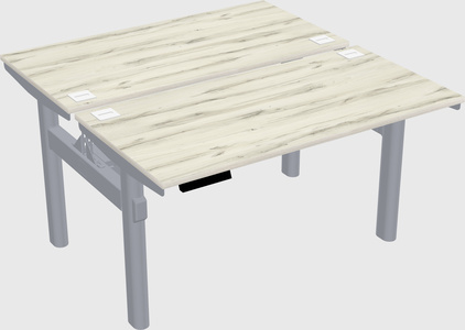 Shared electric desk