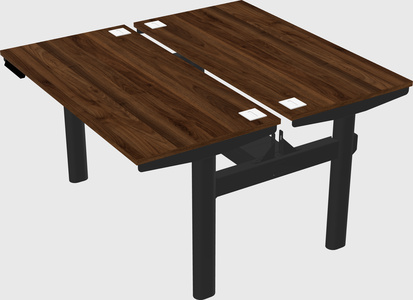 Shared electric desk