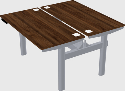 Shared electric desk