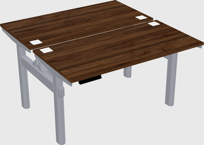 Shared electric desk