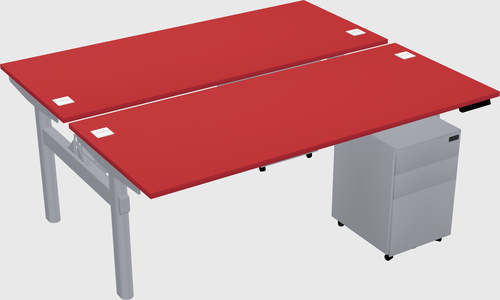 Shared electric desk