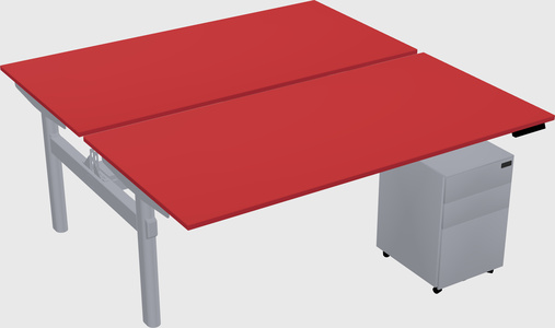 Shared electric desk