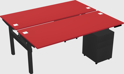 Shared electric desk