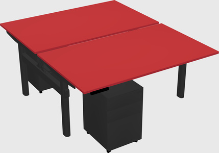 Shared electric desk