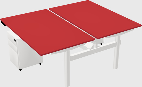 Shared electric desk