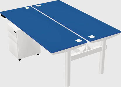 Shared electric desk