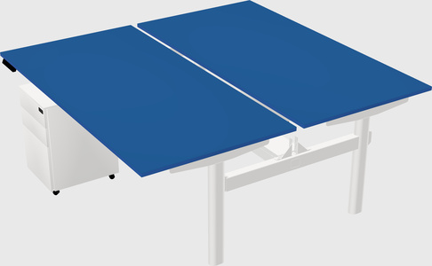 Shared electric desk