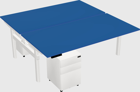 Shared electric desk