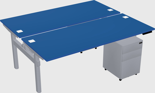 Shared electric desk
