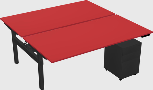 Shared electric desk