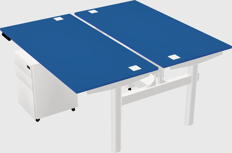 Shared electric desk
