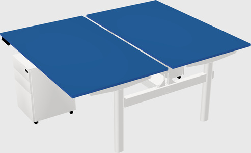 Shared electric desk