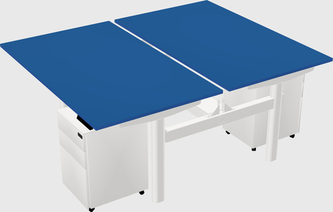 Shared electric desk