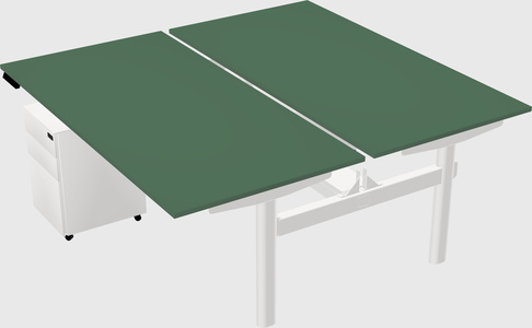 Shared electric desk