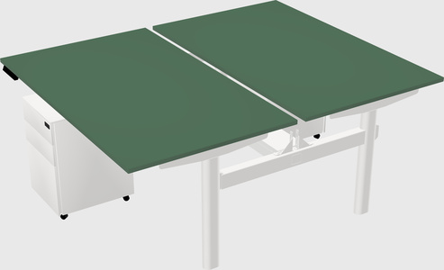 Shared electric desk