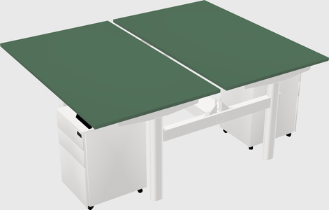Shared electric desk