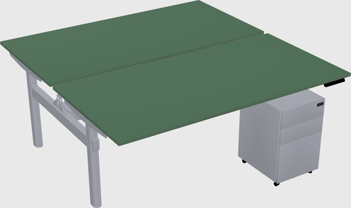Shared electric desk