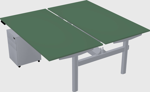 Shared electric desk