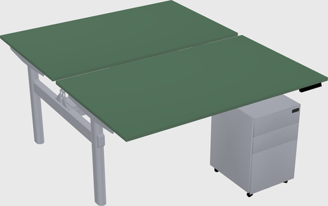 Shared electric desk