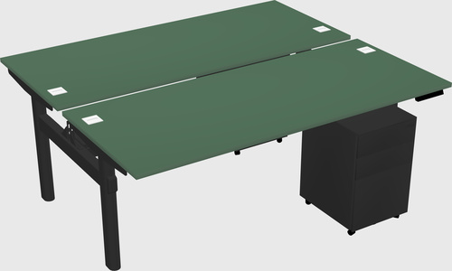 Shared electric desk