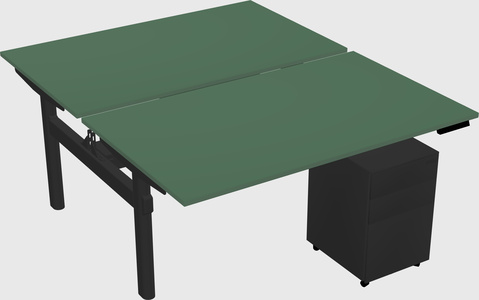 Shared electric desk