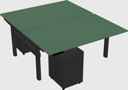 Shared electric desk