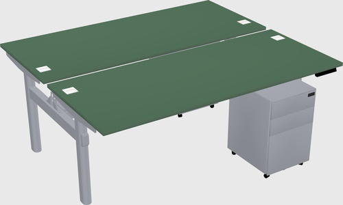 Shared electric desk