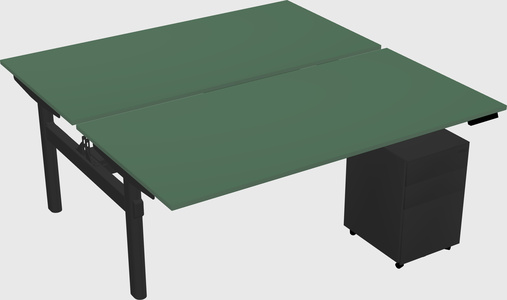 Shared electric desk