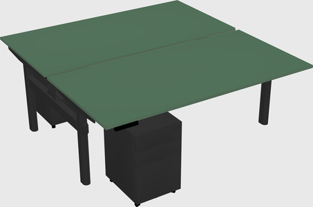 Shared electric desk