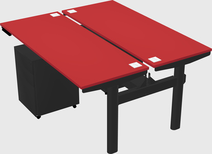 Shared electric desk