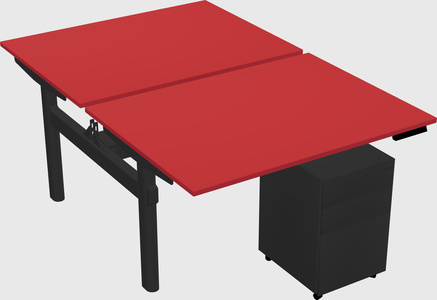 Shared electric desk