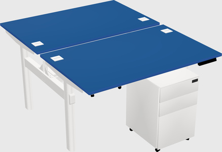 Shared Electric Desk