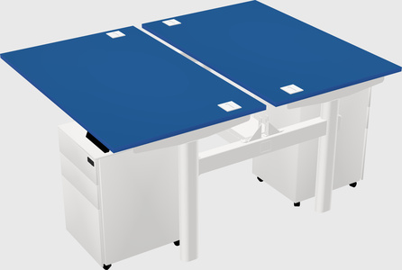 Shared electric desk