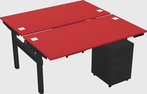 Shared electric desk